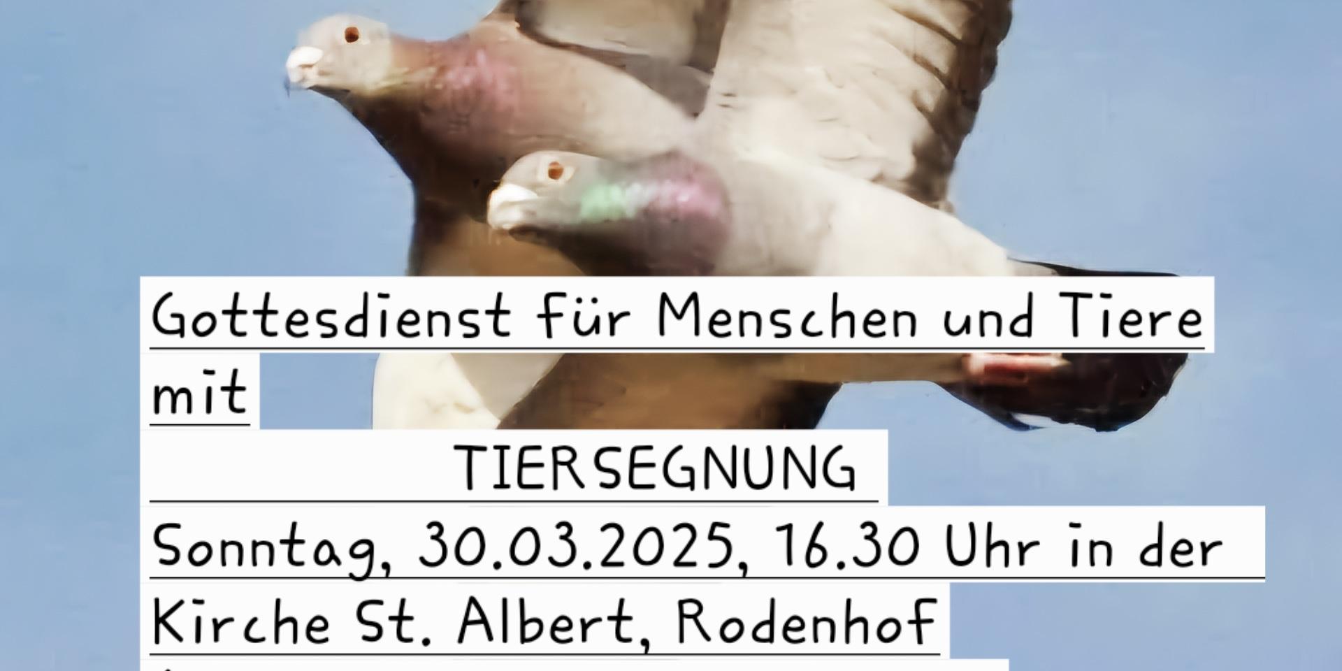 Flyer Tiersegnung