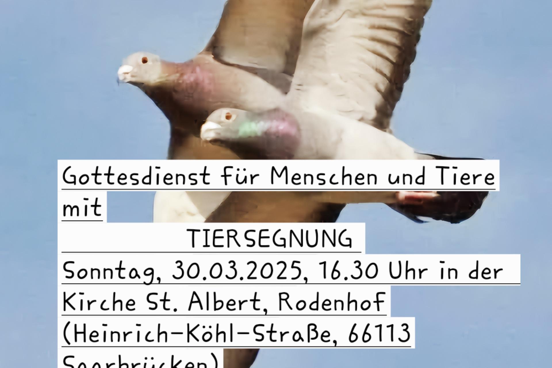 Flyer Tiersegnung