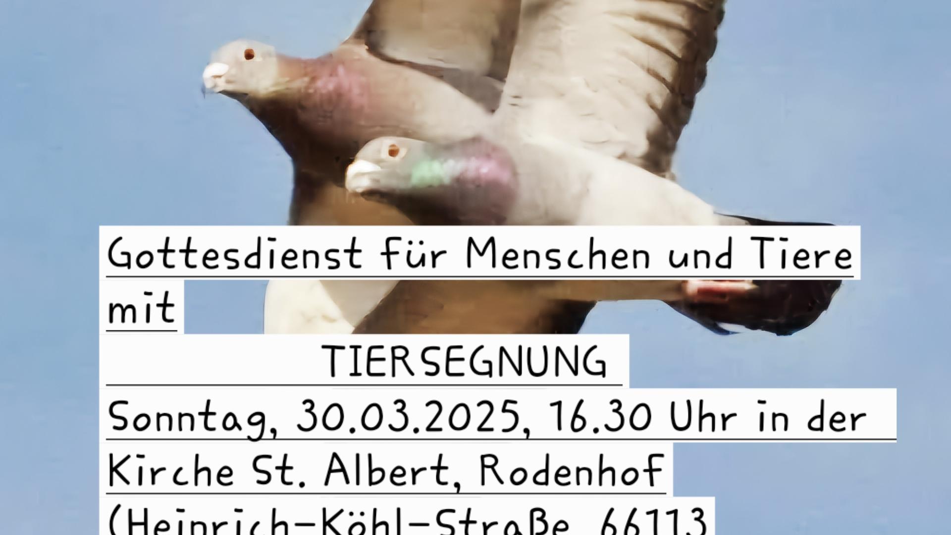 Flyer Tiersegnung